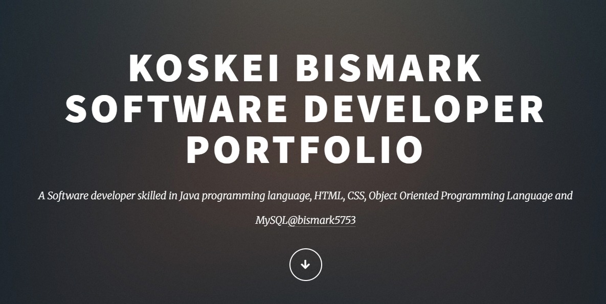 Bismark Project Screenshot